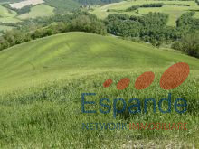 Foto immobile